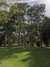 IMG_PixelCam_20210824_165940.EzPixelcam 15 (v.2).xml.webp