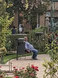 IMG_PixelCam_20210824_172136.EzPixelcam 15 (v.2).xml.webp