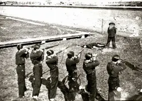 libertad de expresion en el foro iii.webp