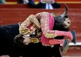 images (1).webp