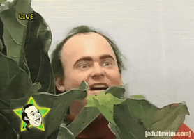 stalker-stalking.gif