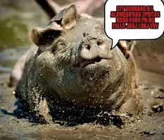 ZomboMeme 16122021202639.webp