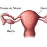 Ovario da Souza