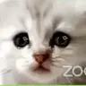 tonival