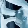 Franvlc