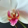 angel garcia