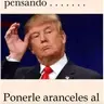 perro verde