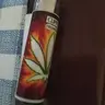 terremoto19