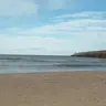 tiburondecampo