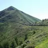 pollmontesa