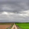 cualquiera_