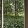 leitova