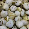 almejitas