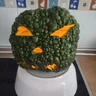 TioPajaro