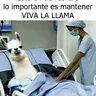 campero69