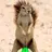 Cojones verdes