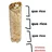 reptil2